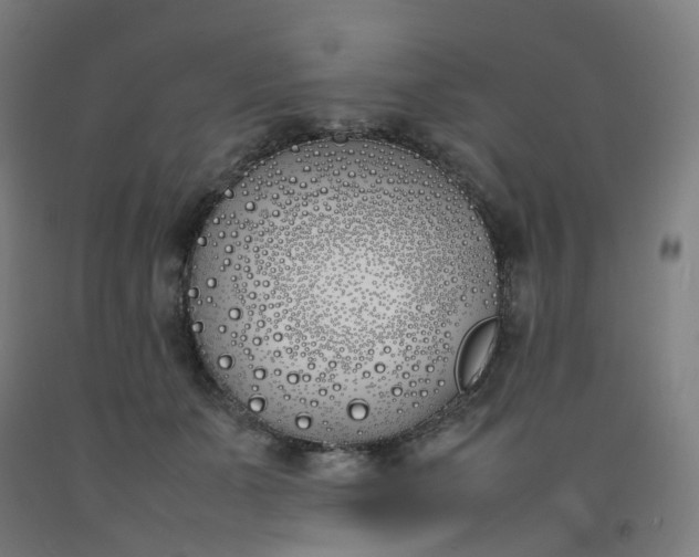 X0000092240511200709281127