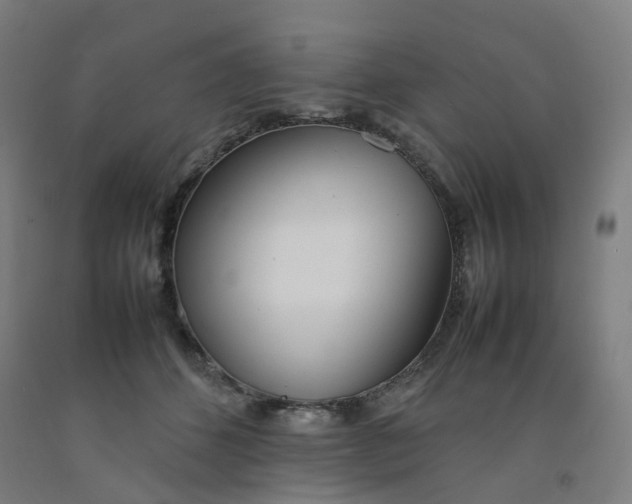 X0000092240512200709281127