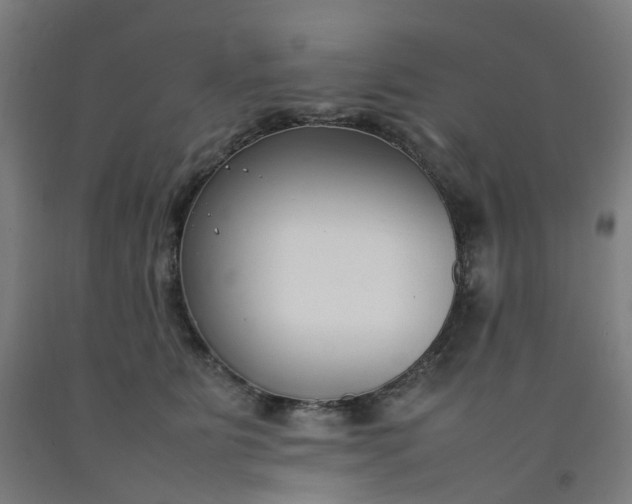 X0000092240515200709281127