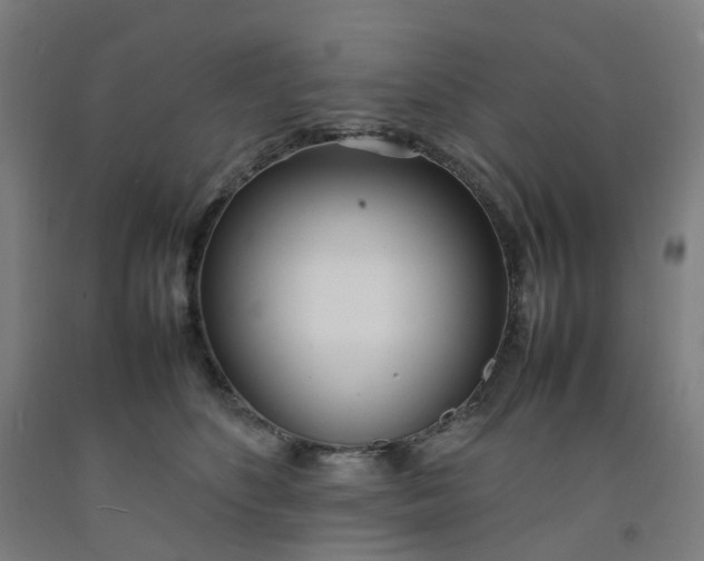 X0000092240516200709281127