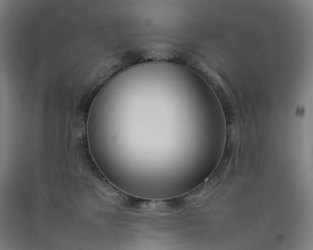 X0000092240517200709281127