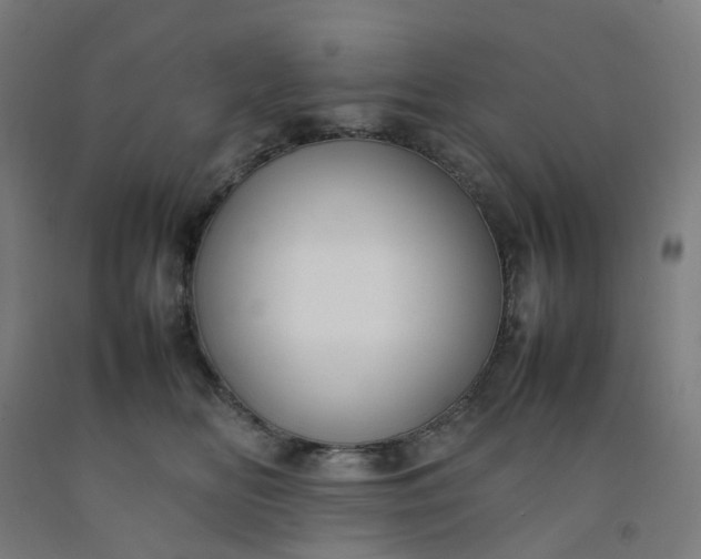 X0000092240518200709281127