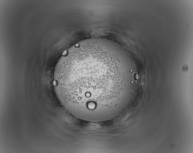 X0000092240519200709281127