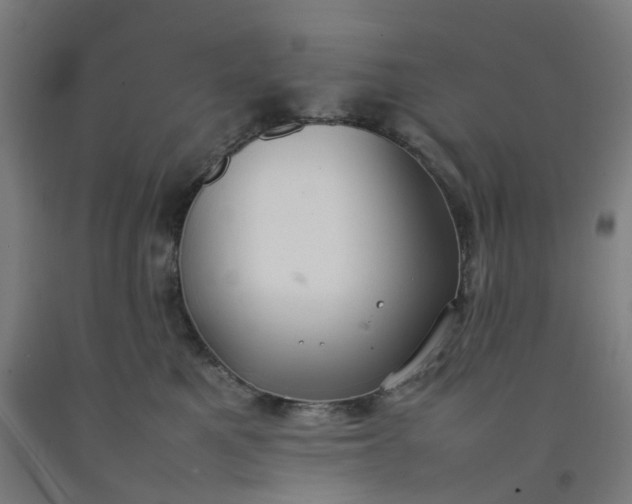 X0000092240521200709281126