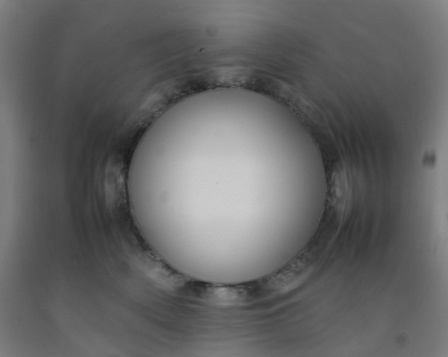 X0000092240522200709281126