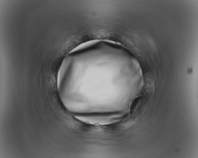 X0000092240523200709281126