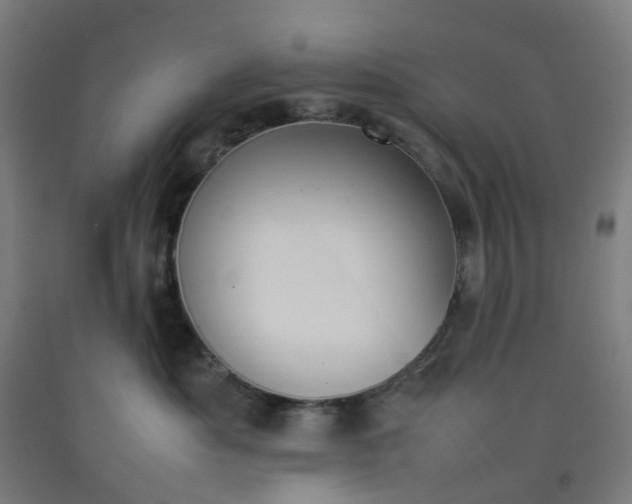 X0000092240525200709281126