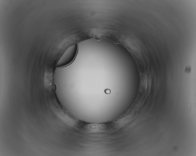 X0000092240526200709281126