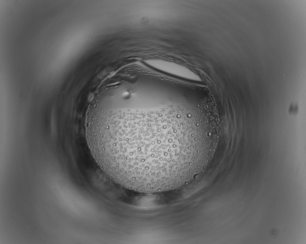 X0000092240527200709281126