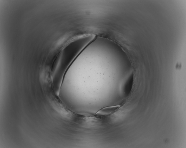 X0000092240528200709281126