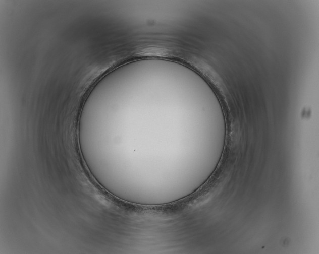 X0000092240529200709281126