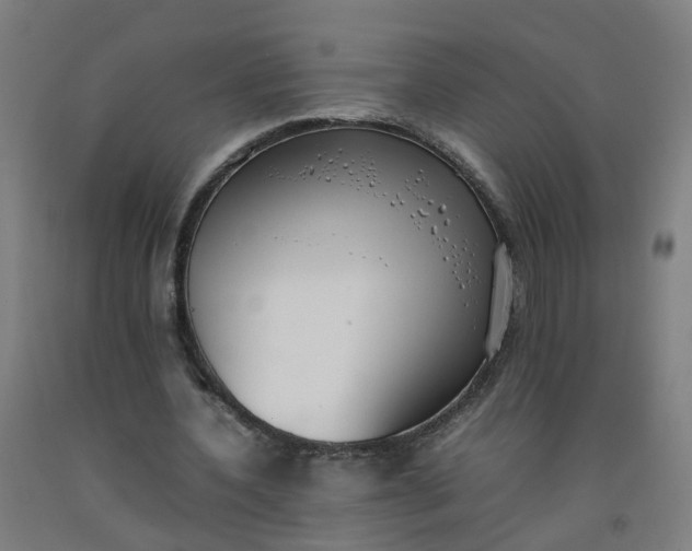 X0000092240532200709281126