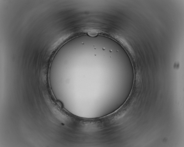 X0000092240533200709281126