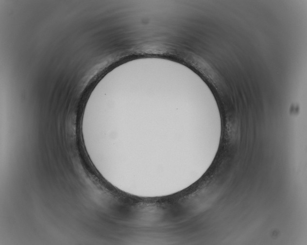 X0000092240534200709281126