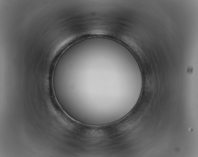 X0000092240535200709281126