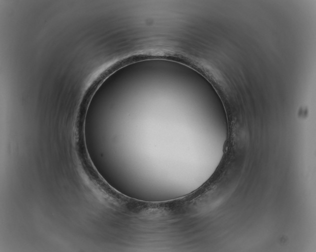 X0000092240536200709281126