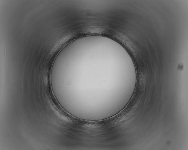 X0000092240537200709281126