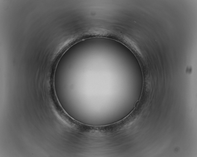 X0000092240538200709281126