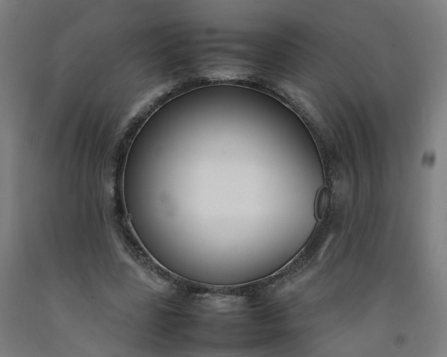 X0000092240539200709281126