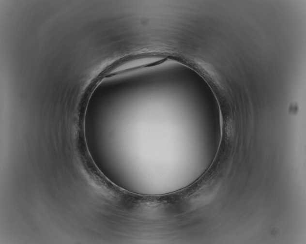 X0000092240540200709281126