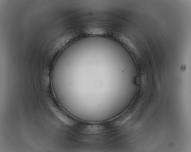 X0000092240541200709281126