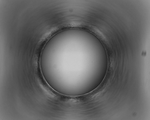 X0000092240542200709281126