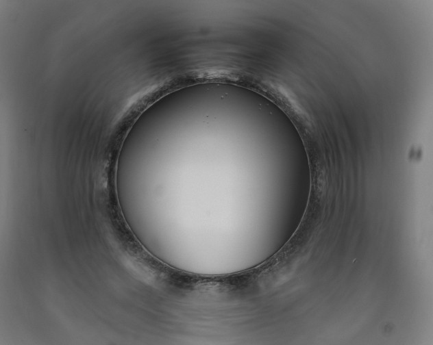 X0000092240543200709281126