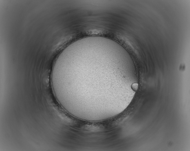 X0000092240545200709281126