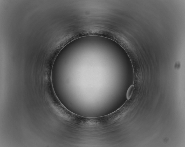 X0000092240546200709281126