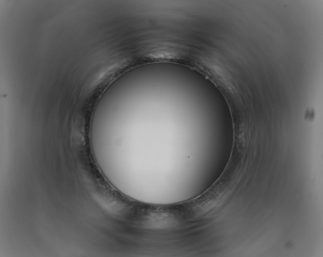 X0000092240547200709281126