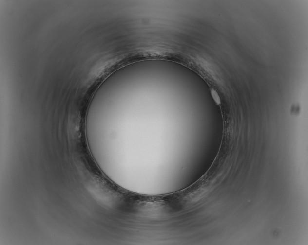 X0000092240548200709281126