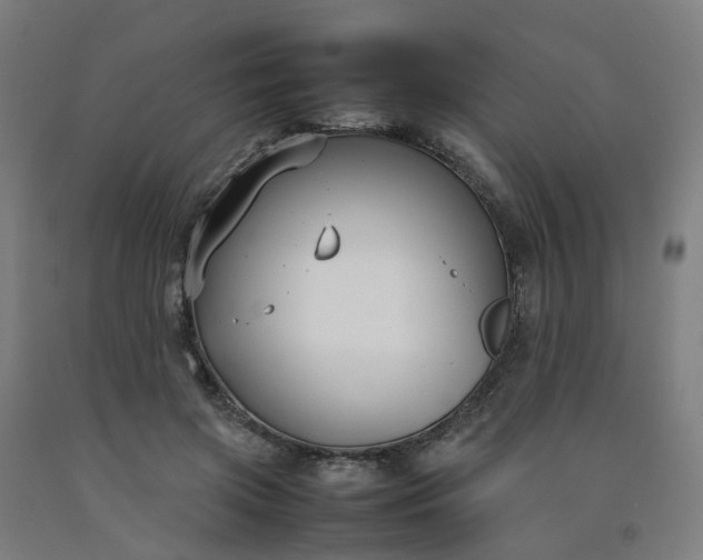 X0000092240549200709281126