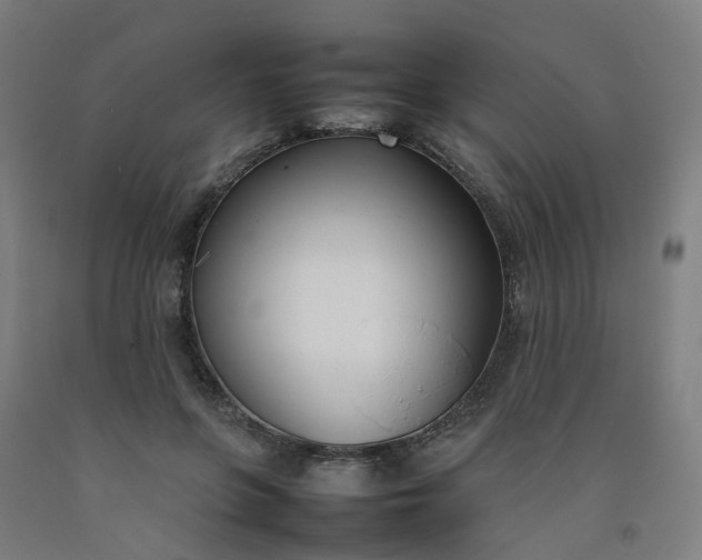 X0000092240551200709281126