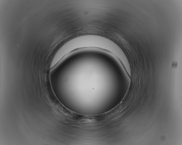 X0000092240552200709281126