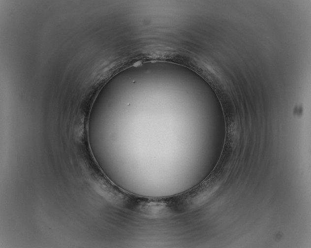 X0000092240554200709281126