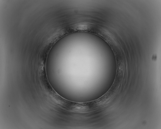 X0000092240555200709281126