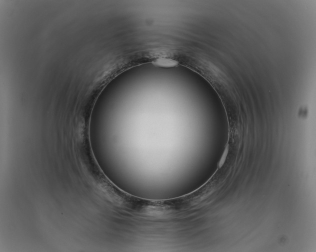 X0000092240556200709281126