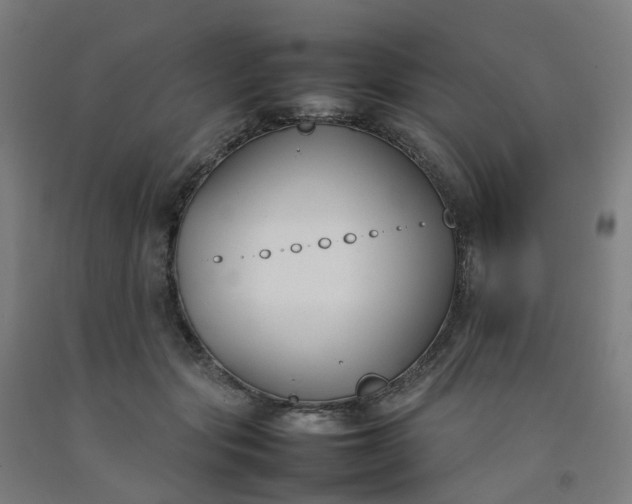 X0000092240557200709281126