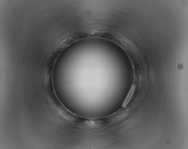 X0000092240558200709281126