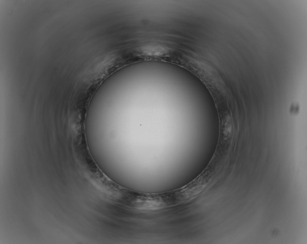 X0000092240559200709281126