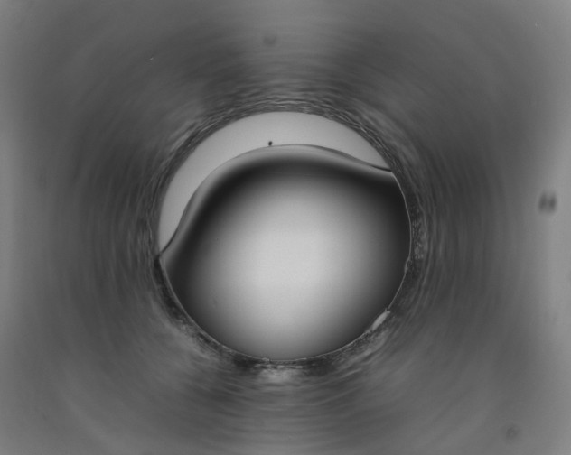 X0000092240560200709281126