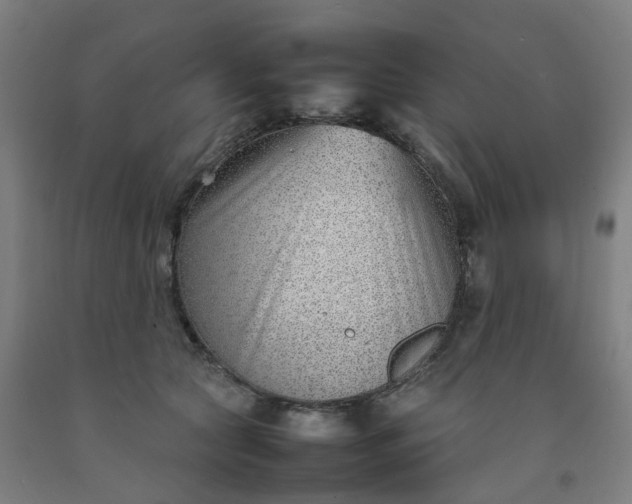 X0000092240561200709281126