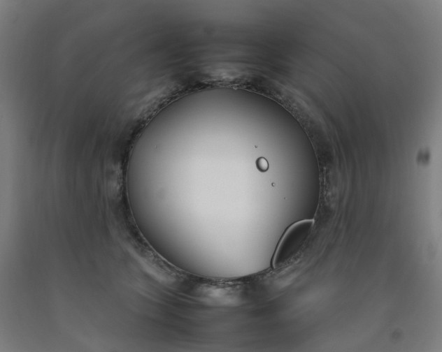 X0000092240563200709281126