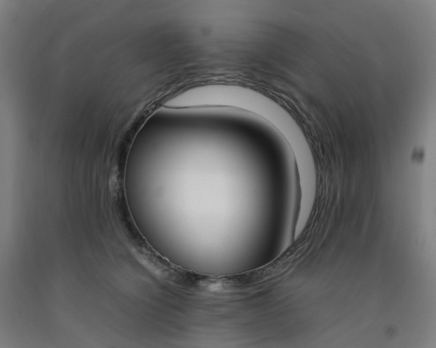 X0000092240564200709281126