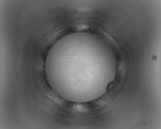 X0000092240565200709281126