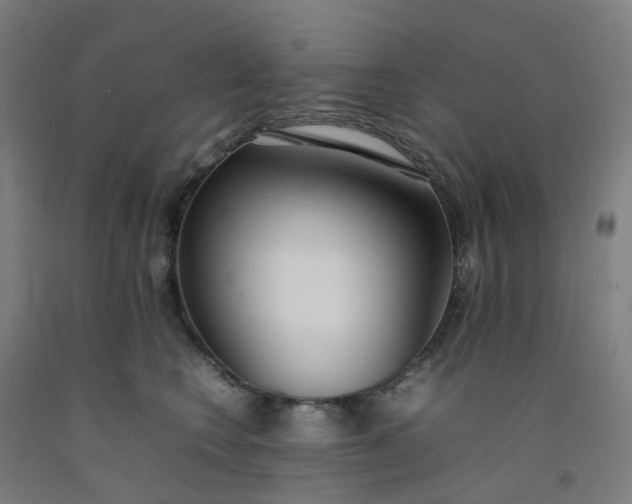 X0000092240566200709281126