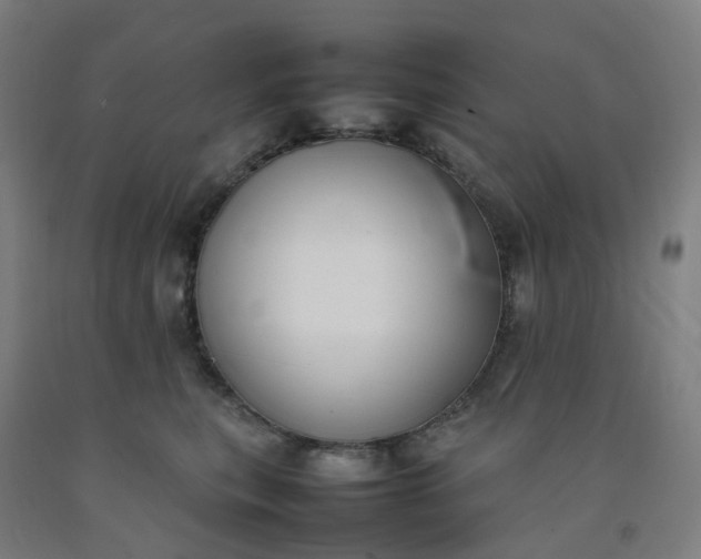 X0000092240567200709281126