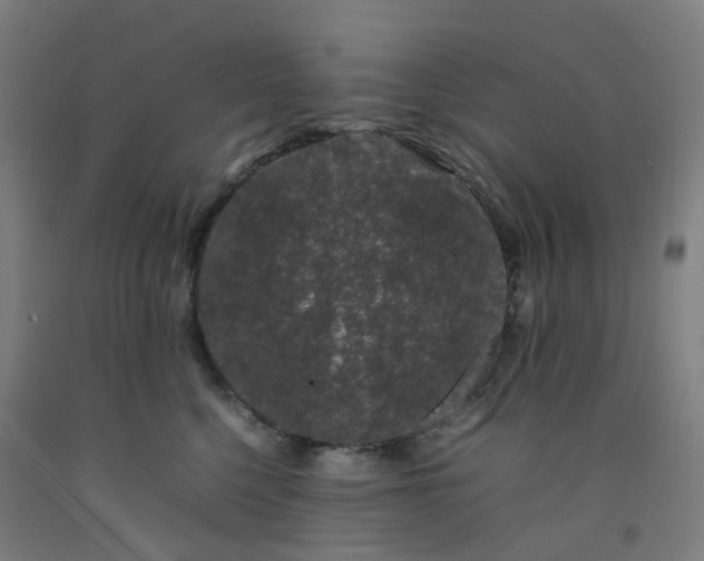 X0000092240568200709281126