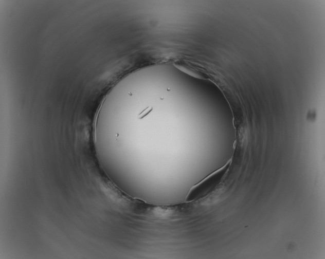 X0000092240570200709281126