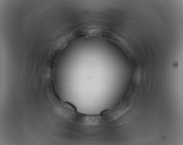 X0000092240571200709281126